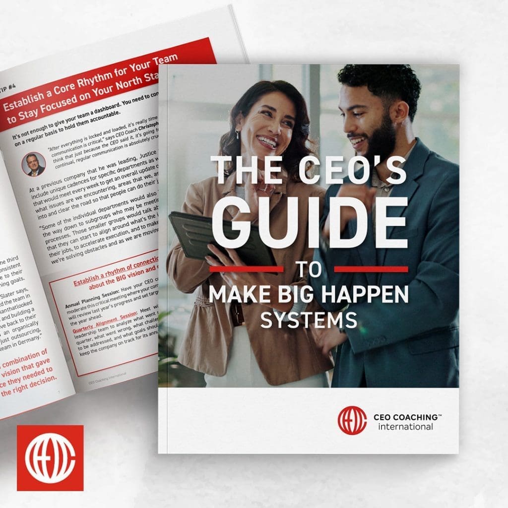 The CEO's Guide to Make BIG Happen Systems ebook cover